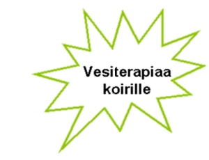 Vesiterapia